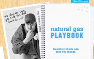 Gas Coach Thumb Utilities Atlanta Gas Light