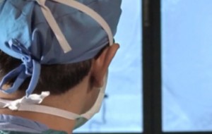 Norton Neurology Making Connections Thumb