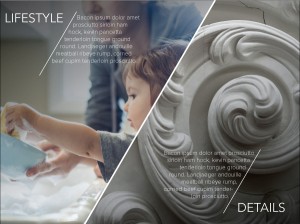 Ashton Woods Brand Reconstruction