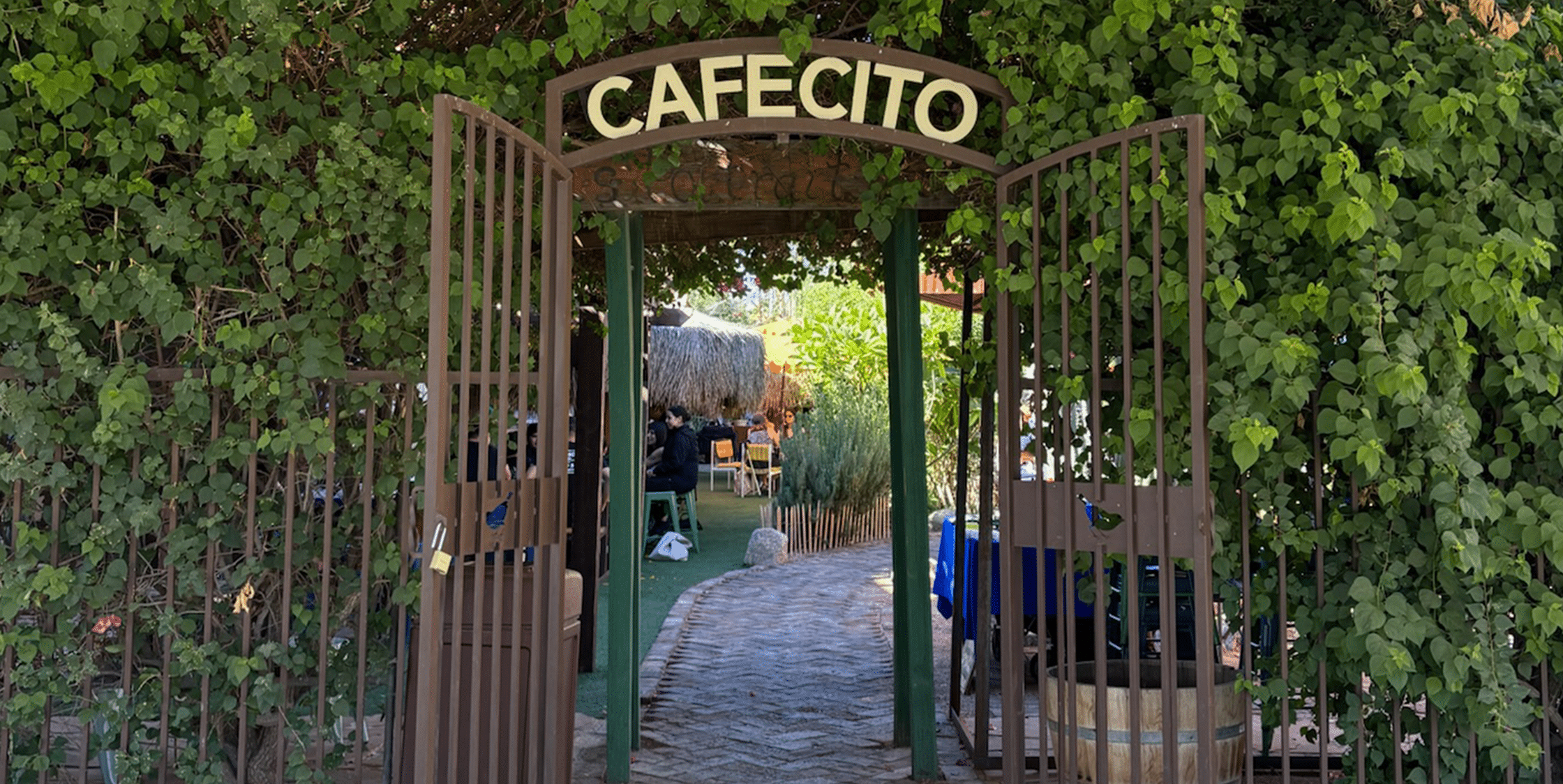 blog-cafecito-img
